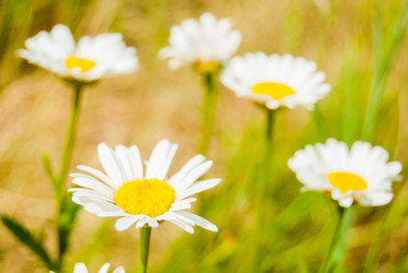 Similar image 7694233