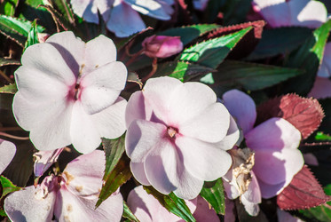 Similar image 7694234