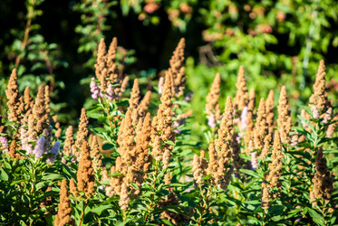 Similar image 7694235