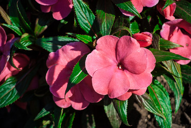 Similar image 7694240