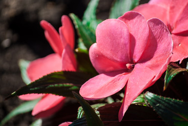 Similar image 7694242