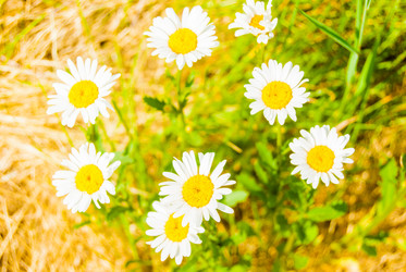 Similar image 7694243