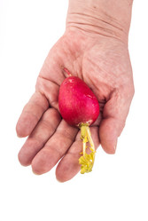 Similar image 7694244