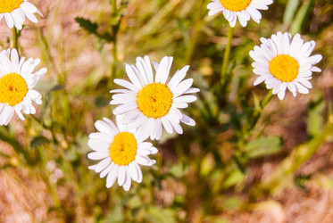 Similar image 7694245