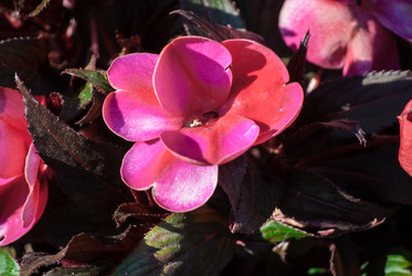 Similar image 7694247