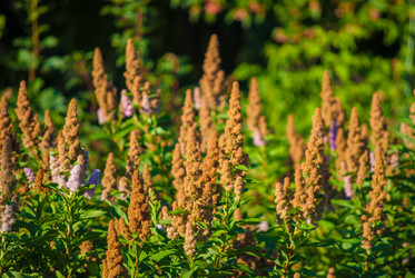 Similar image 7694250