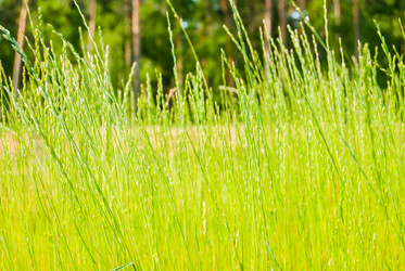 Similar image 7694255