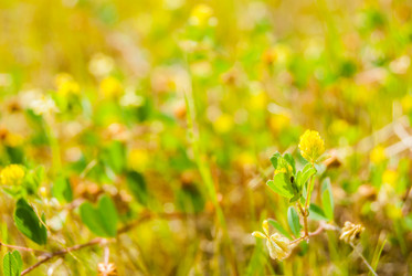 Similar image 7694257