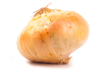 Similar image 7694260