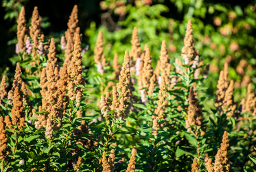 Similar image 7694262