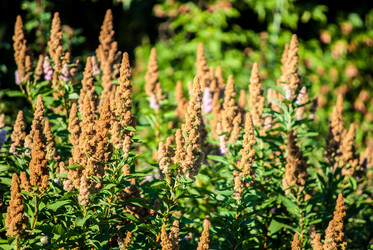 Similar image 7694263