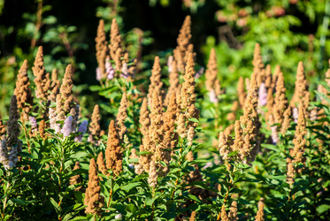 Similar image 7694264