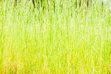 Similar image 7694265