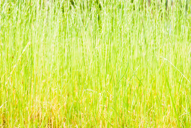 Similar image 7694267