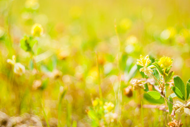 Similar image 7694268