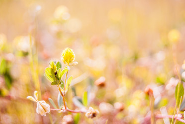 Similar image 7694270