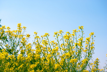 Similar image 7694273