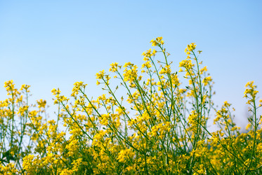 Similar image 7694276