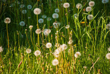 Similar image 7694277