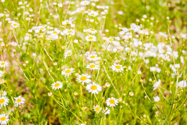 Similar image 7694278