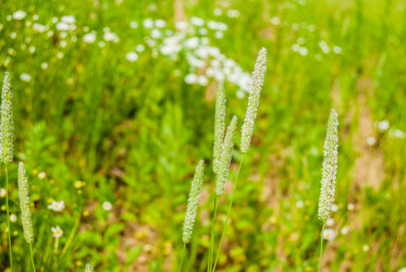 Similar image 7694279