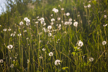 Similar image 7694280