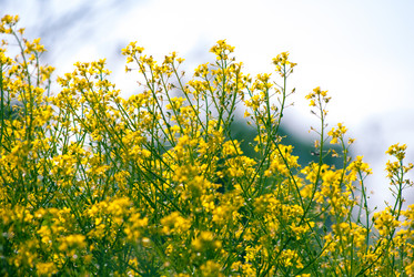 Similar image 7694281