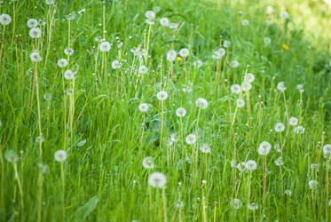 Similar image 7694282