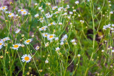 Similar image 7694283