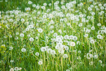 Similar image 7694284