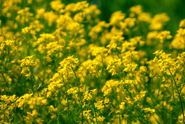 Similar image 7694285