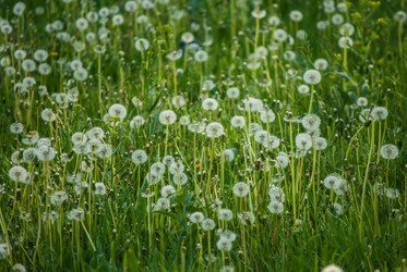 Similar image 7694286