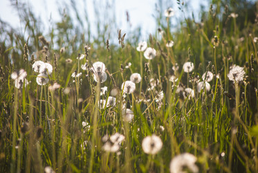 Similar image 7694289