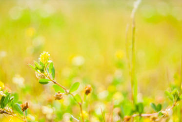 Similar image 7694290