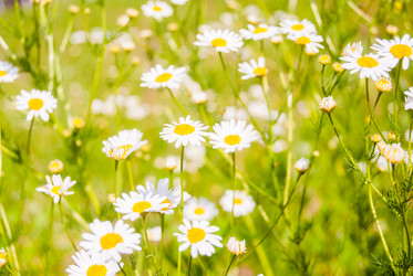 Similar image 7694291