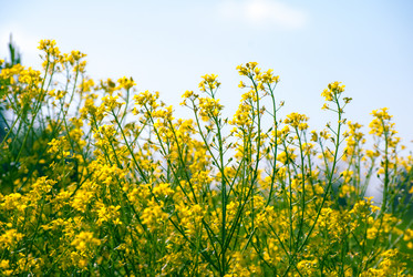 Similar image 7694293