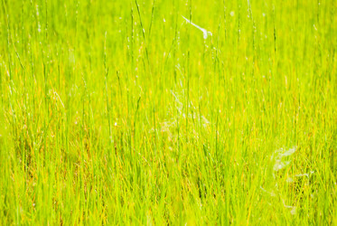 Similar image 7694294