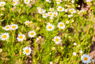 Similar image 7694295