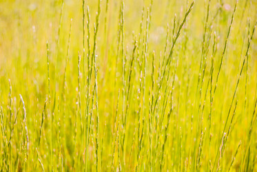 Similar image 7694296