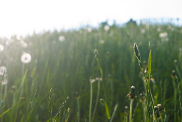 Similar image 7694298