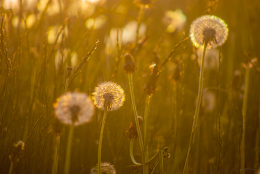 Similar image 7694299