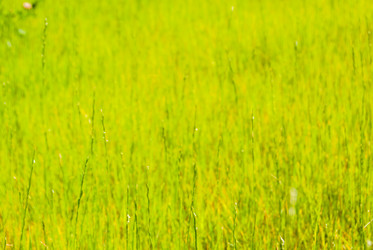 Similar image 7694300