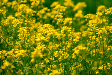 Similar image 7694303