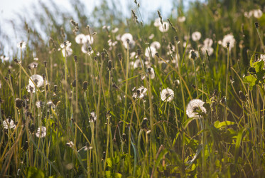 Similar image 7694305