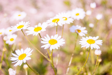 Similar image 7694307