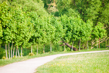 Similar image 7694308