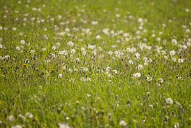 Similar image 7694309