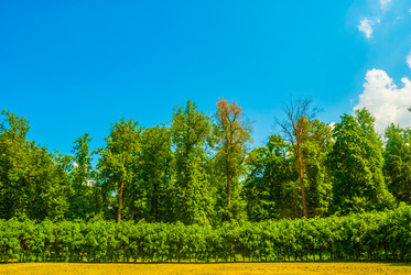 Similar image 7694313