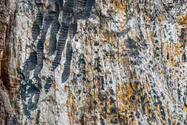 Similar image 7694314