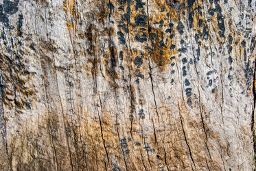 Similar image 7694315